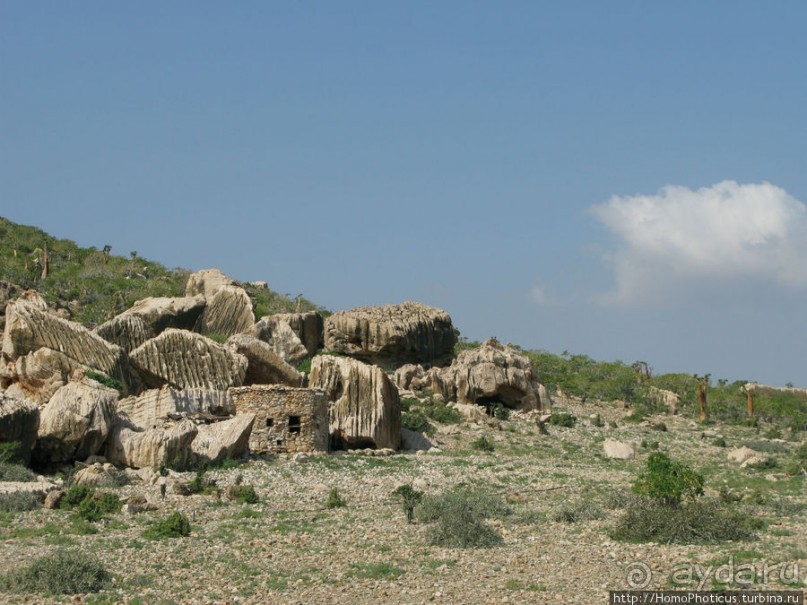 Пляж Дийлеша, или как засадить Круизер Пляж Дийлеша, или как засадить Круизер