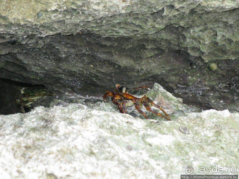 Пляж Дийлеша, или как засадить Круизер Пляж Дийлеша, или как засадить Круизер
