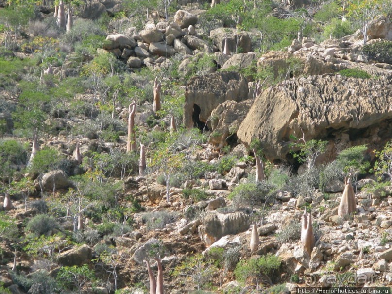 Пляж Дийлеша, или как засадить Круизер Пляж Дийлеша, или как засадить Круизер