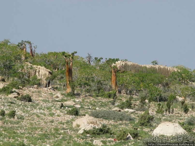 Пляж Дийлеша, или как засадить Круизер Пляж Дийлеша, или как засадить Круизер