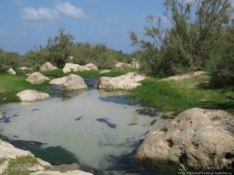 Пляж Дийлеша, или как засадить Круизер Пляж Дийлеша, или как засадить Круизер
