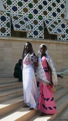 Сенегамбия. II. От Сенегала-реки к Гамбии-реке