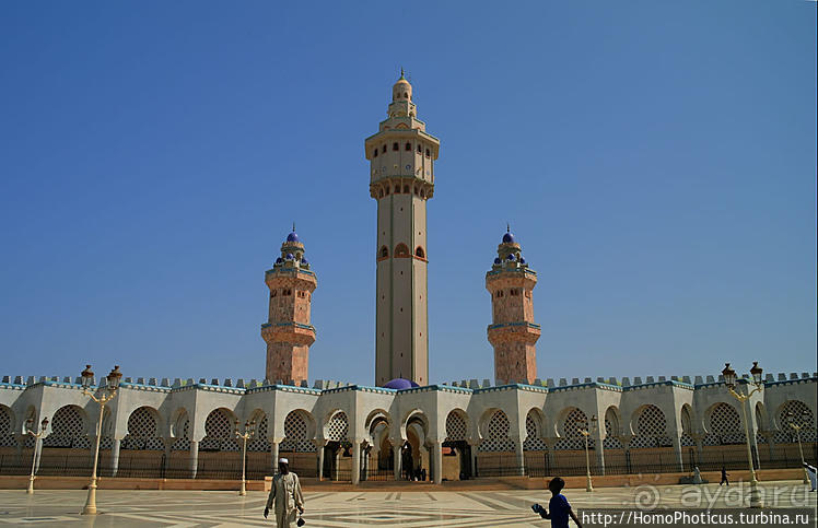 Сенегамбия. II. От Сенегала-реки к Гамбии-реке