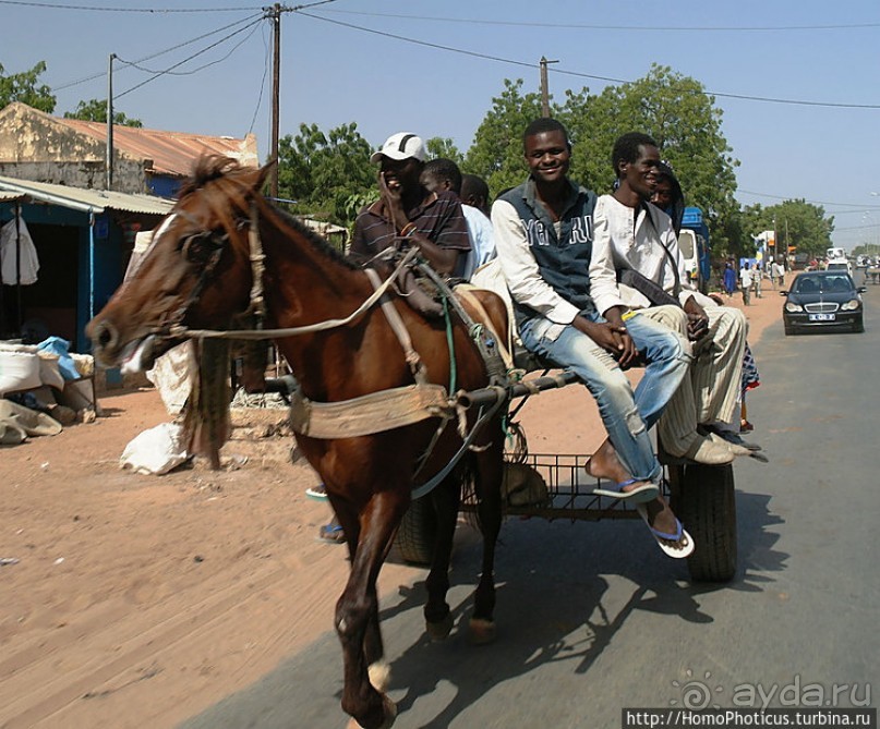 Сенегамбия. II. От Сенегала-реки к Гамбии-реке