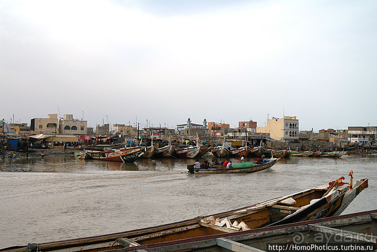 Сенегамбия. II. От Сенегала-реки к Гамбии-реке