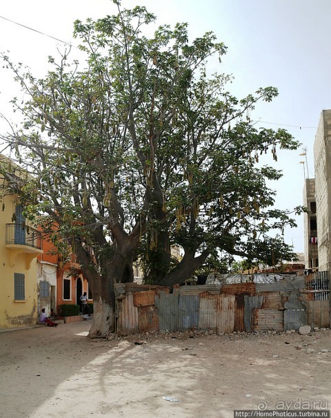 Сенегамбия. II. От Сенегала-реки к Гамбии-реке