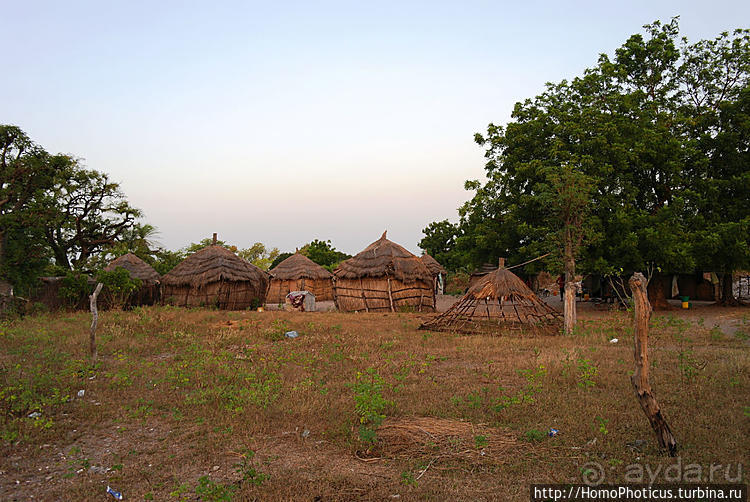Сенегамбия. II. От Сенегала-реки к Гамбии-реке