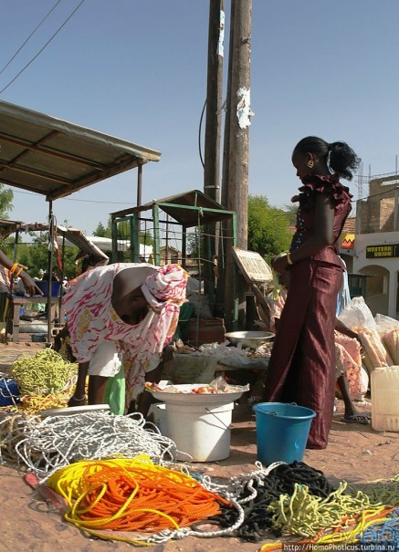 Сенегамбия. II. От Сенегала-реки к Гамбии-реке