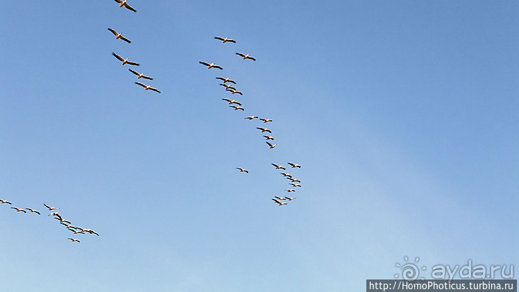 Сенегамбия. II. От Сенегала-реки к Гамбии-реке