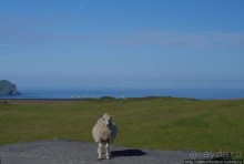 Острова западных людей