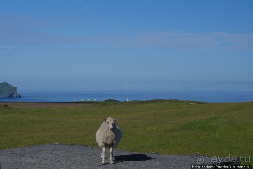 Острова западных людей