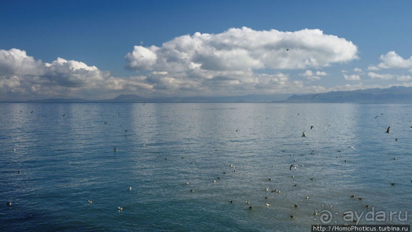 Острова западных людей