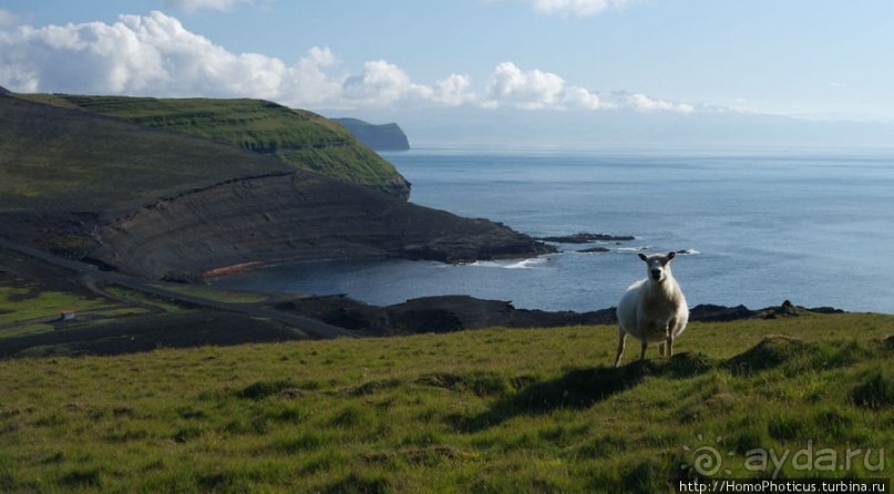 Острова западных людей