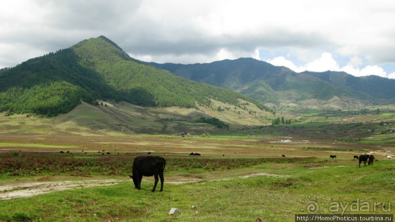 Страна Громового дракона. Часть IV. Вангди-Пходранг: небеса