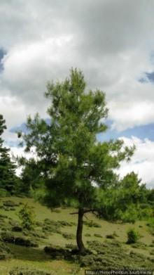 Страна Громового дракона. Часть IV. Вангди-Пходранг: небеса