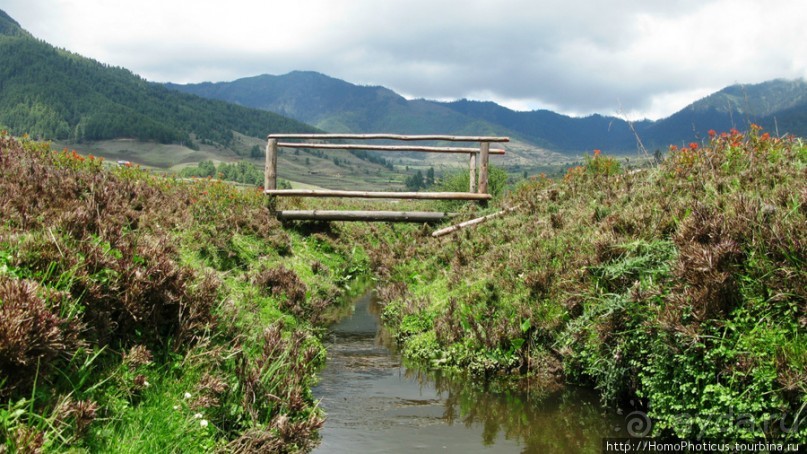 Страна Громового дракона. Часть IV. Вангди-Пходранг: небеса