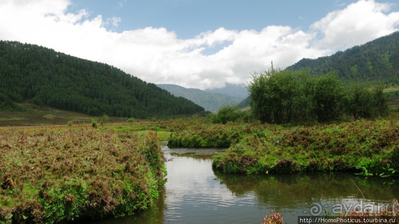 Страна Громового дракона. Часть IV. Вангди-Пходранг: небеса