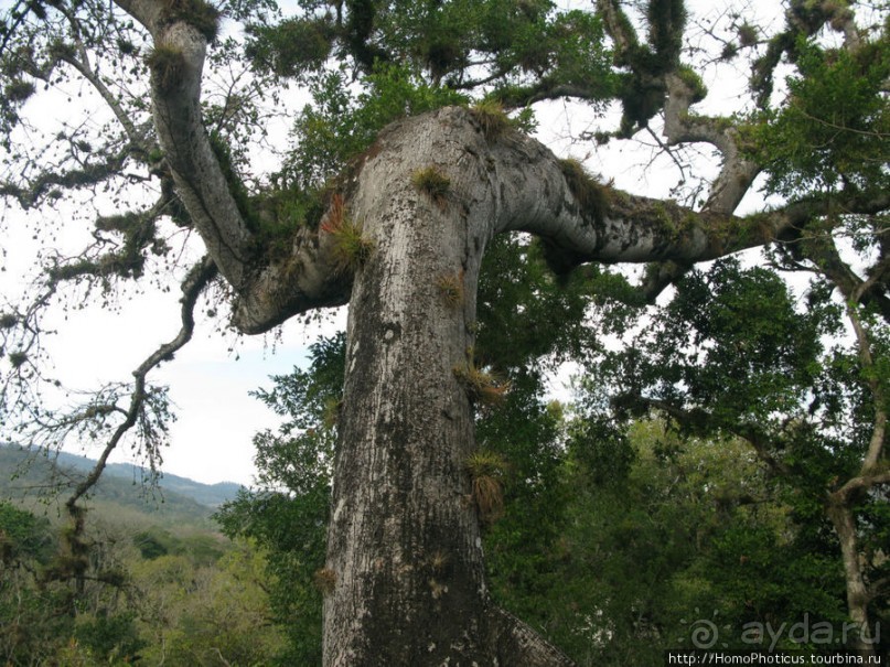 Мост между цивилизациями. Мост между временами.