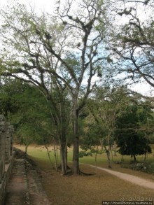 Мост между цивилизациями. Мост между временами.