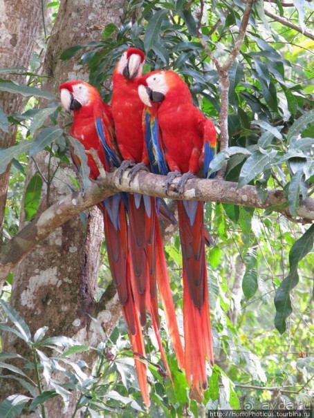 Мост между цивилизациями. Мост между временами.