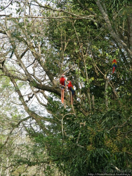 Мост между цивилизациями. Мост между временами.