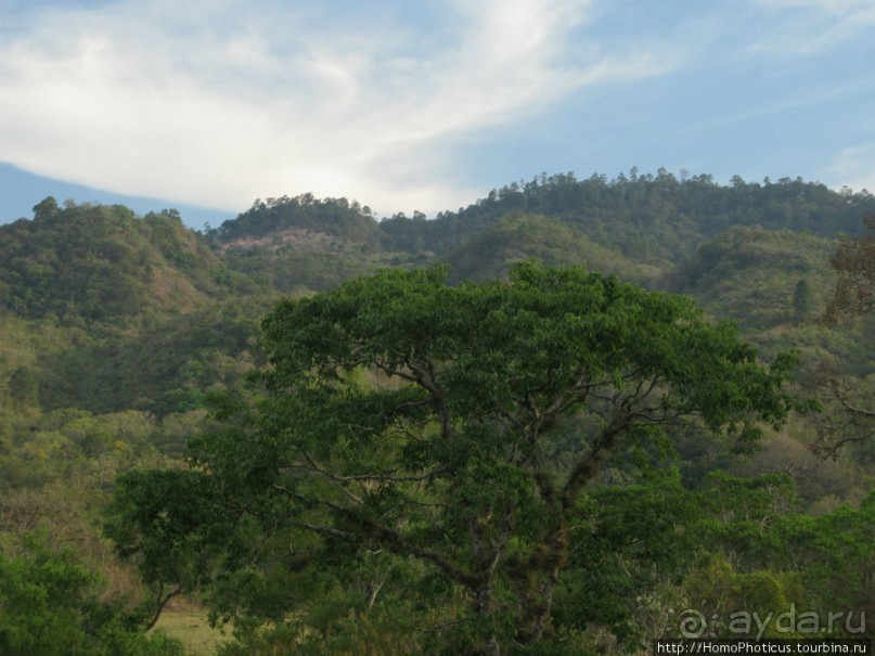 Мост между цивилизациями. Мост между временами.