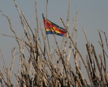 Умхланга. День VI. Возложение тростника