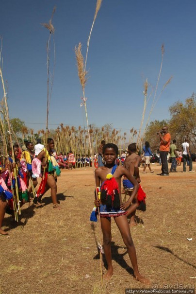 Умхланга. День VI. Возложение тростника