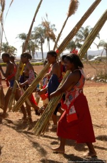 Умхланга. День VI. Возложение тростника