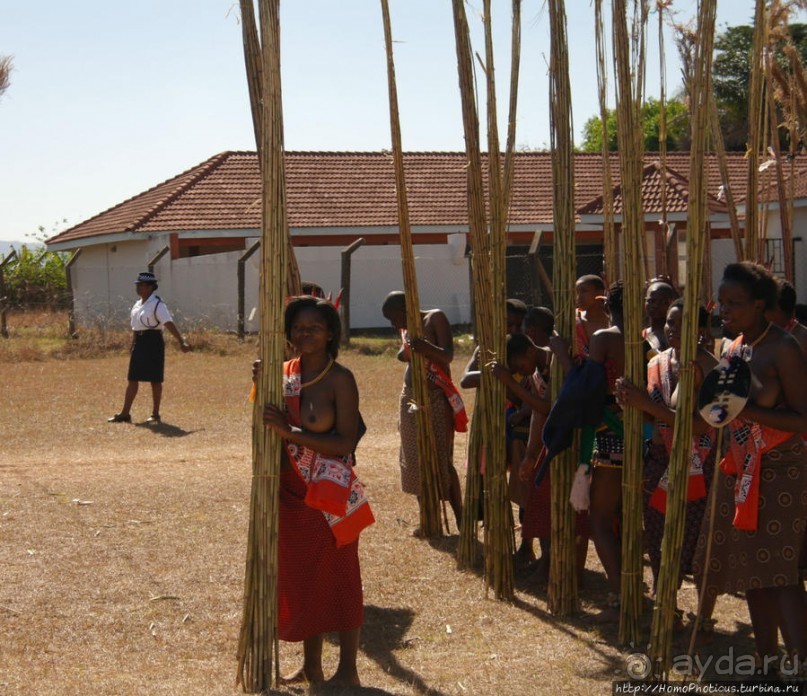 Умхланга. День VI. Возложение тростника