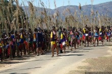 Умхланга. День VI. Возложение тростника