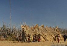 Умхланга. День VI. Возложение тростника