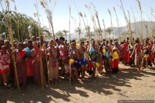 Умхланга. День VI. Возложение тростника