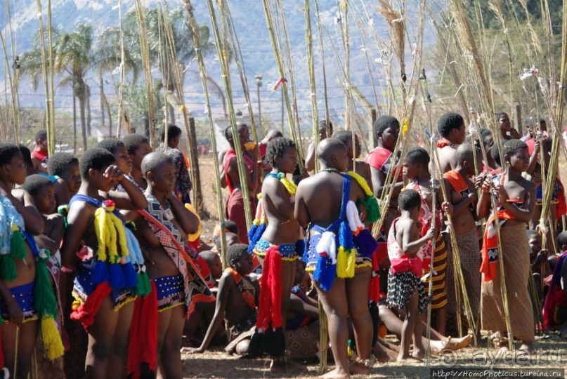 Умхланга. День VI. Возложение тростника