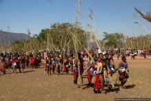 Умхланга. День VI. Возложение тростника