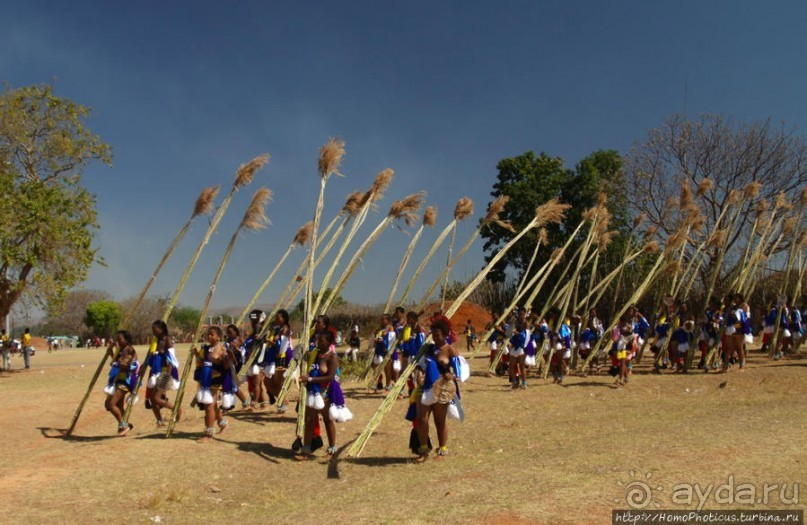 Умхланга. День VI. Возложение тростника