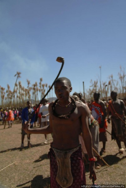 Умхланга. День VI. Возложение тростника