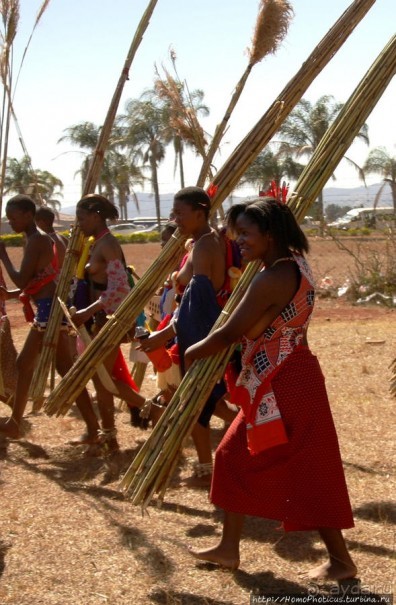 Умхланга. День VI. Возложение тростника