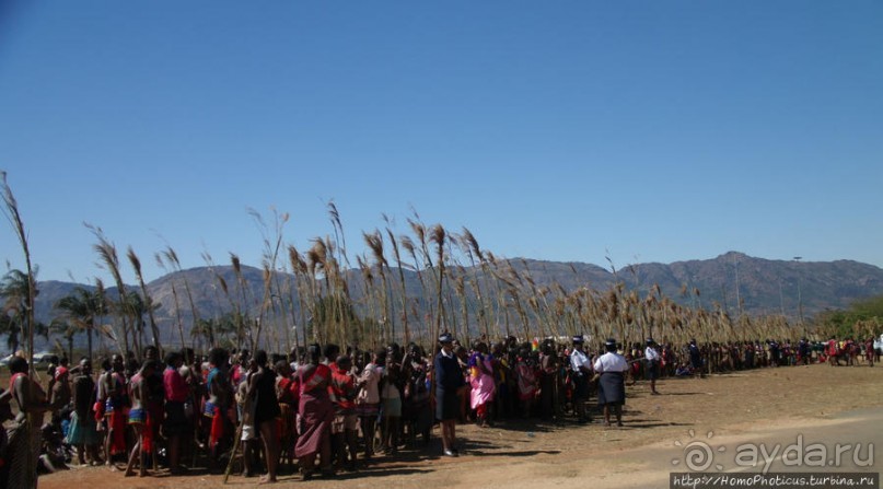 Умхланга. День VI. Возложение тростника