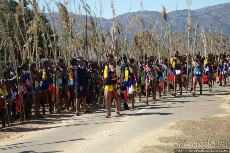 Умхланга. День VI. Возложение тростника
