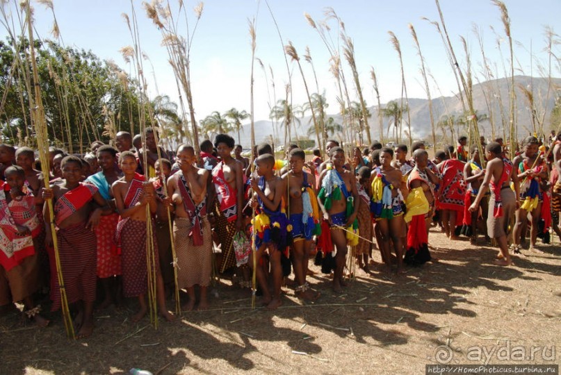 Умхланга. День VI. Возложение тростника