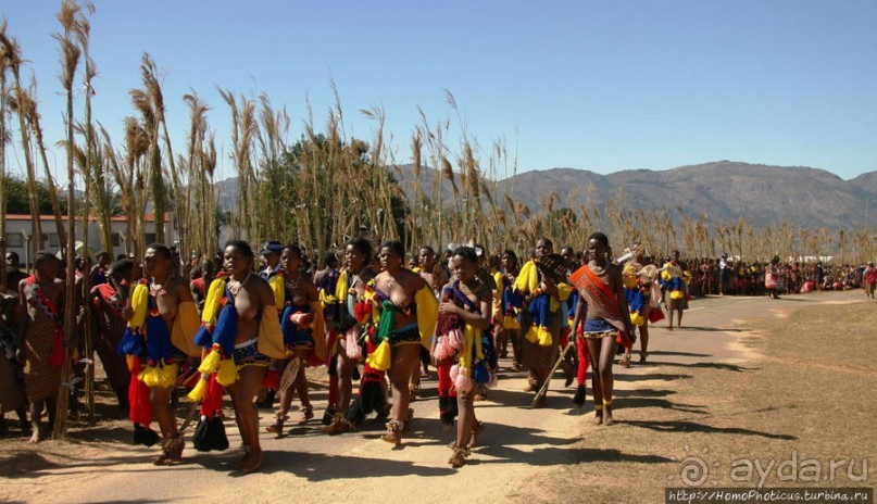Умхланга. День VI. Возложение тростника