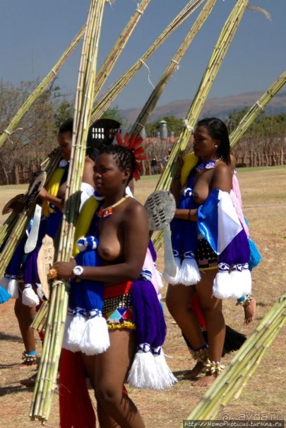 Умхланга. День VI. Возложение тростника