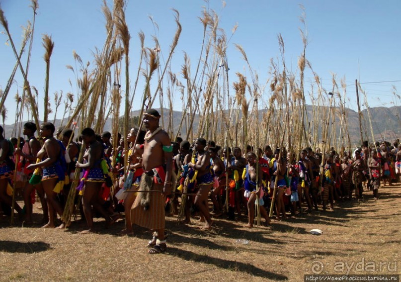 Умхланга. День VI. Возложение тростника