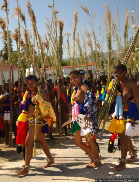 Умхланга. День VI. Возложение тростника