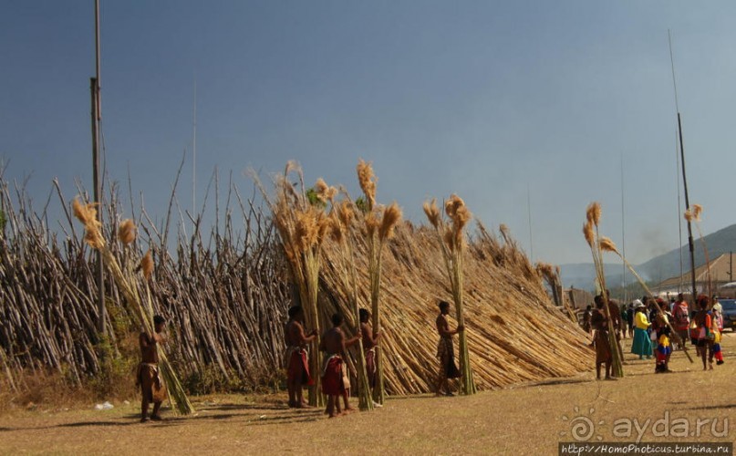 Умхланга. День VI. Возложение тростника