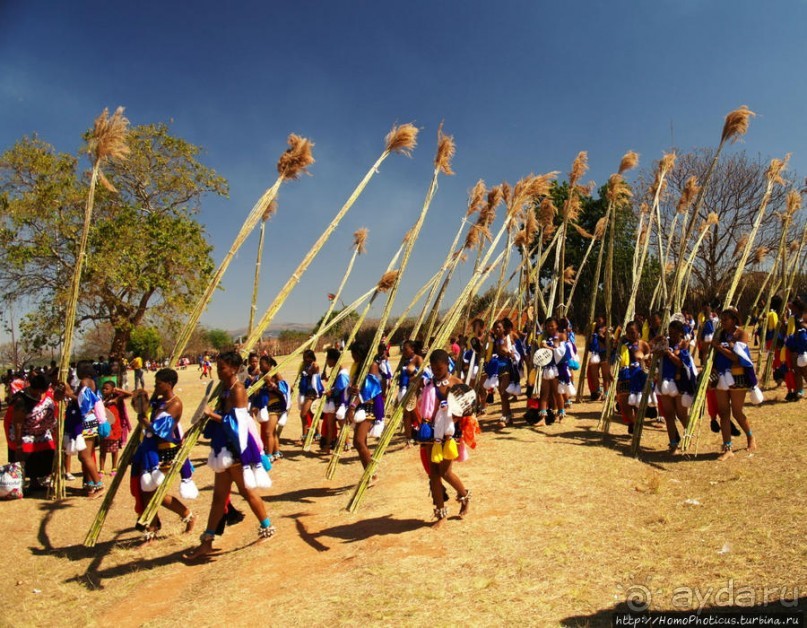 Умхланга. День VI. Возложение тростника