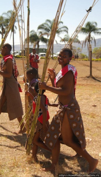 Умхланга. День VI. Возложение тростника