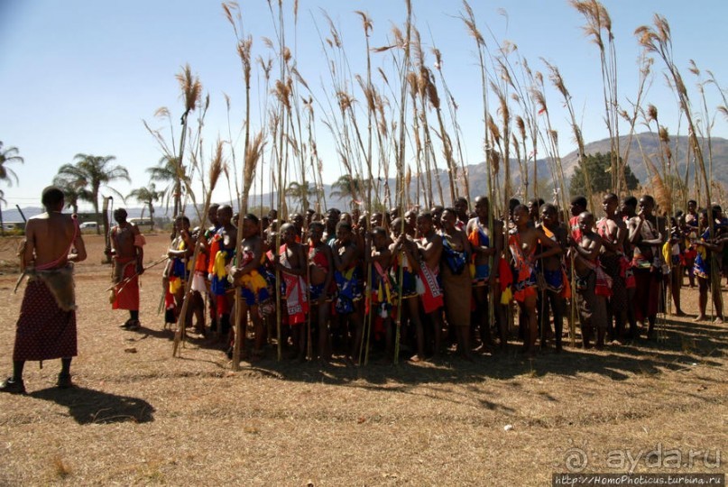 Умхланга. День VI. Возложение тростника