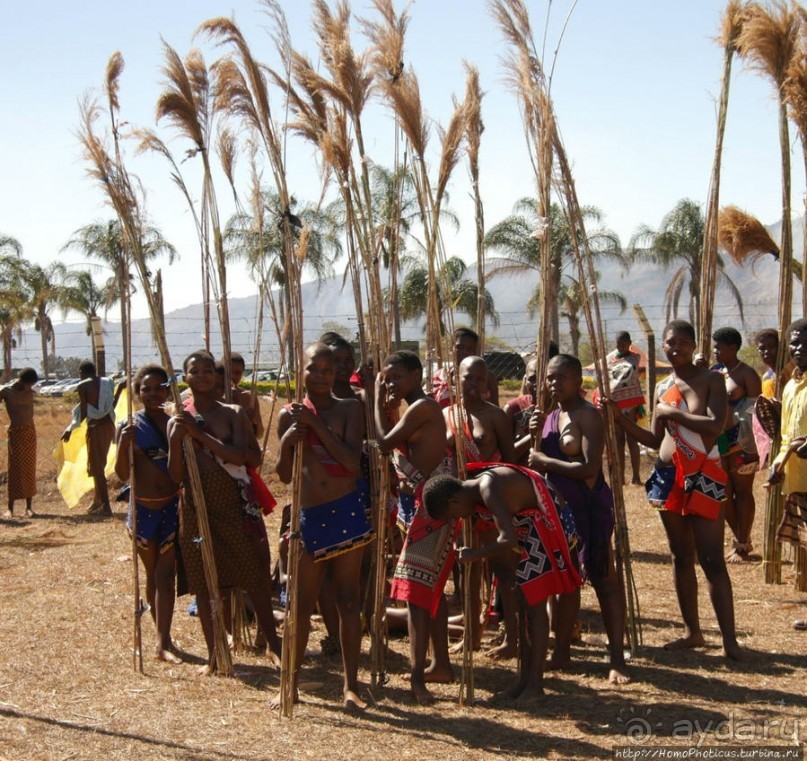 Умхланга. День VI. Возложение тростника